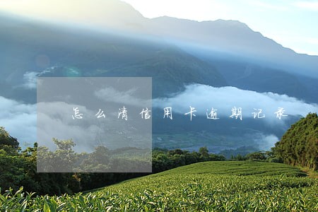 怎么清信用卡逾期记录 怎么清信用卡逾期记录