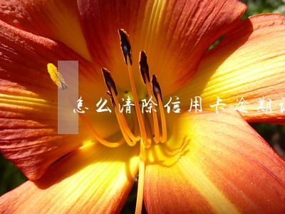 怎么清除信用卡逾期记录吗 怎么清除信用卡逾期记录吗
