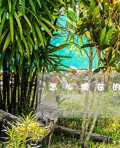 怎么现在的网贷没逾期就冻结 怎么现在的网贷没逾期就冻结