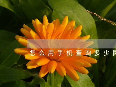 怎么用手机查询多少网贷逾期 怎么用手机查询多少网贷逾期