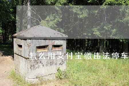 怎么用支付宝缴违法停车告知单 怎么用支付宝缴违法停车告知单