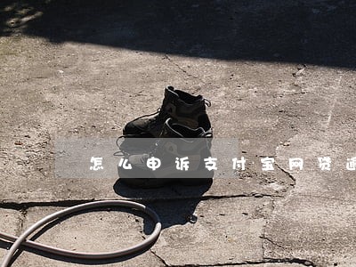 怎么申诉支付宝网贷逾期 怎么申诉支付宝网贷逾期