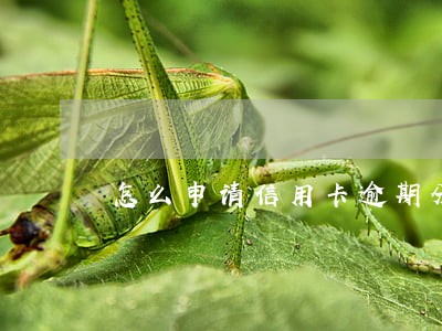 怎么申请信用卡逾期分期付款
