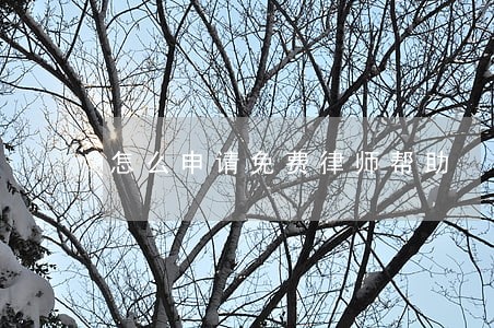 怎么申请免费律师帮助 怎么申请免费律师帮助