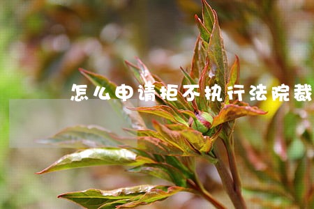 怎么申请拒不执行法院裁定罪 怎么申请拒不执行法院裁定罪