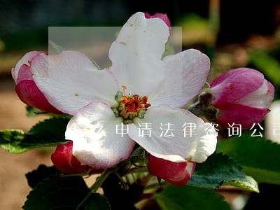 怎么申请法律咨询公司 怎么申请法律咨询公司