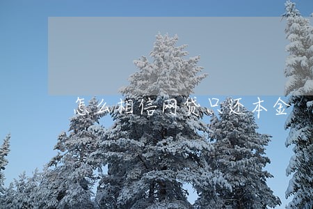 怎么相信网贷只还本金 怎么相信网贷只还本金