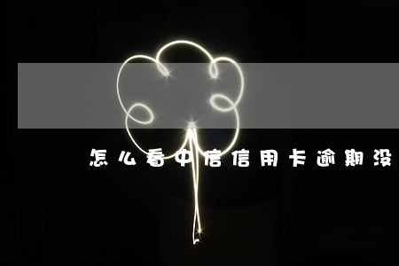怎么看中信信用卡逾期没有