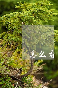 怎么看交行信用卡有没有逾期 怎么看交行信用卡有没有逾期