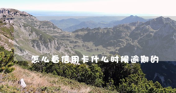 怎么看信用卡什么时候逾期的