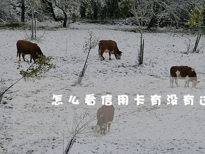 怎么看信用卡有没有过逾期