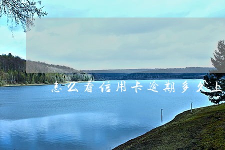怎么看信用卡逾期多久上征信 怎么看信用卡逾期多久上征信