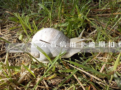 怎么看信用卡逾期扣费 怎么看信用卡逾期扣费