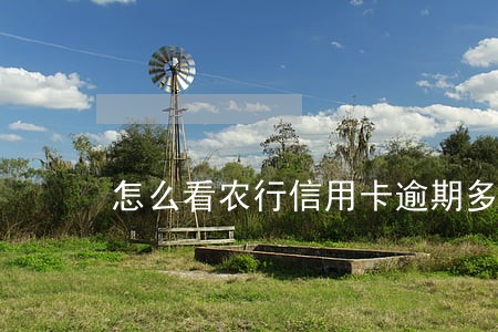 怎么看农行信用卡逾期多久了 怎么看农行信用卡逾期多久了