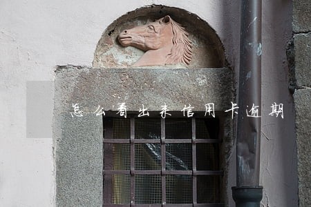 怎么看出来信用卡逾期 怎么看出来信用卡逾期