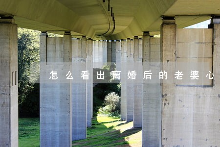 怎么看出离婚后的老婆心还在 怎么看出离婚后的老婆心还在