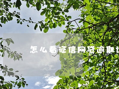 怎么看征信网贷逾期记录 怎么看征信网贷逾期记录
