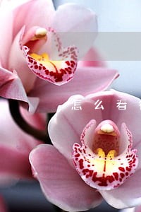 怎么看待网贷逾期的人 怎么看待网贷逾期的人