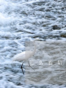 怎么看招商信用卡有没有逾期 怎么看招商信用卡有没有逾期