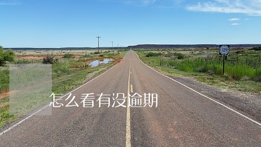 怎么看有没逾期 怎么看有没逾期