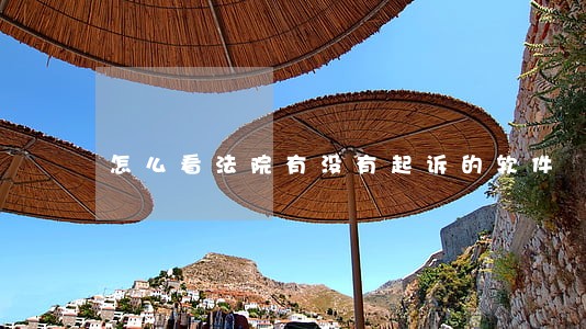 怎么看法院有没有起诉的软件 怎么看法院有没有起诉的软件