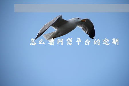 怎么看网贷平台的逾期 怎么看网贷平台的逾期