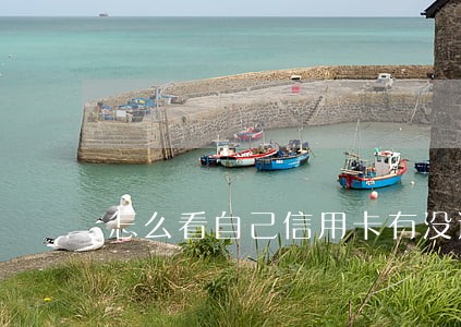 怎么看自己信用卡有没逾期 怎么看自己信用卡有没逾期