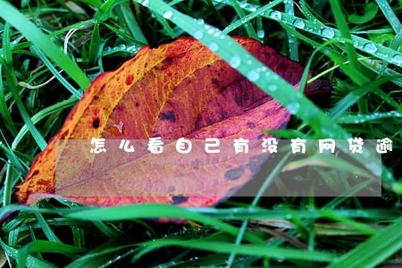 怎么看自己有没有网贷逾期 怎么看自己有没有网贷逾期
