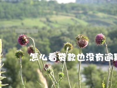怎么看贷款也没有逾期 怎么看贷款也没有逾期