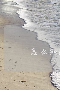 怎么知道个人信用有逾期