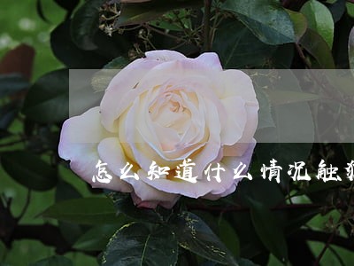 怎么知道什么情况触犯刑法