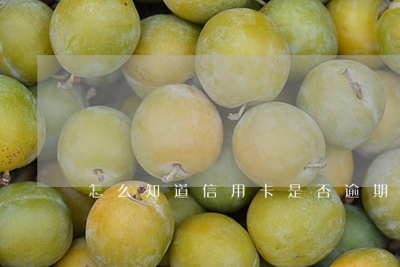 怎么知道信用卡是否逾期过 怎么知道信用卡是否逾期过