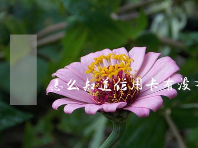 怎么知道信用卡有没有逾期记录 怎么知道信用卡有没有逾期记录