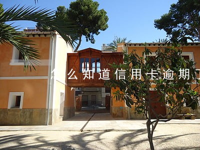 怎么知道信用卡逾期了多久 怎么知道信用卡逾期了多久