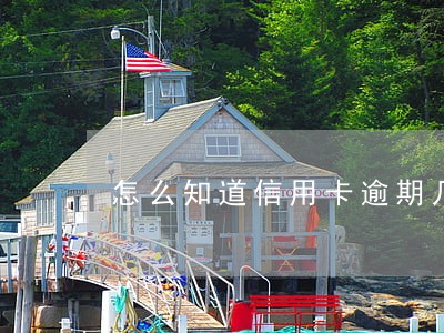 怎么知道信用卡逾期几天了 怎么知道信用卡逾期几天了