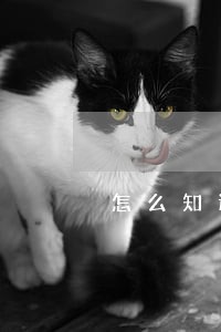 怎么知道信用卡逾期多少天 怎么知道信用卡逾期多少天