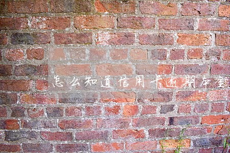 怎么知道信用卡逾期本金 怎么知道信用卡逾期本金