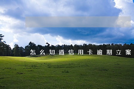 怎么知道信用卡逾期立案了 怎么知道信用卡逾期立案了