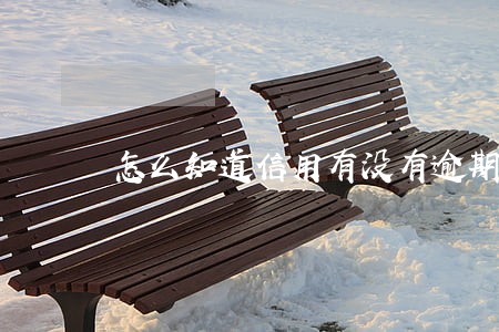 怎么知道信用有没有逾期