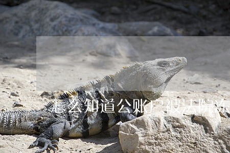 怎么知道公账户被法院冻结 怎么知道公账户被法院冻结