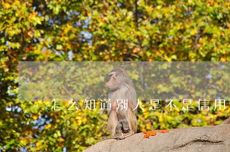 怎么知道别人是不是信用卡逾期 怎么知道别人是不是信用卡逾期