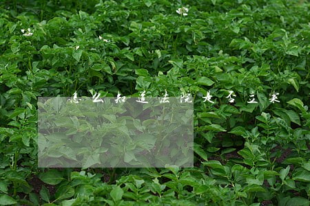 怎么知道法院是否立案 怎么知道法院是否立案