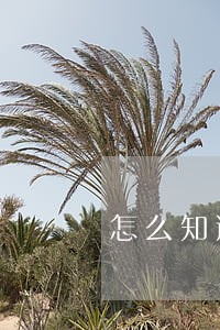 怎么知道自己信用卡逾期了