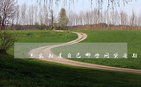 怎么知道自己哪些网贷逾期 怎么知道自己哪些网贷逾期