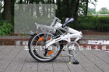 怎么知道自己的信用卡逾期没有 怎么知道自己的信用卡逾期没有