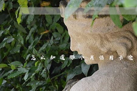 怎么知道那个月信用卡逾期 怎么知道那个月信用卡逾期