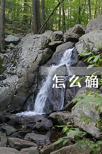 怎么确认只还本金