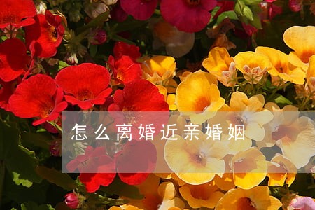 怎么离婚近亲婚姻 怎么离婚近亲婚姻