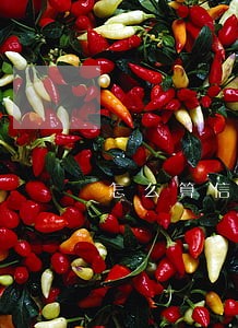 怎么算信用卡逾期笔数