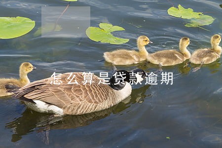 怎么算是贷款逾期 怎么算是贷款逾期